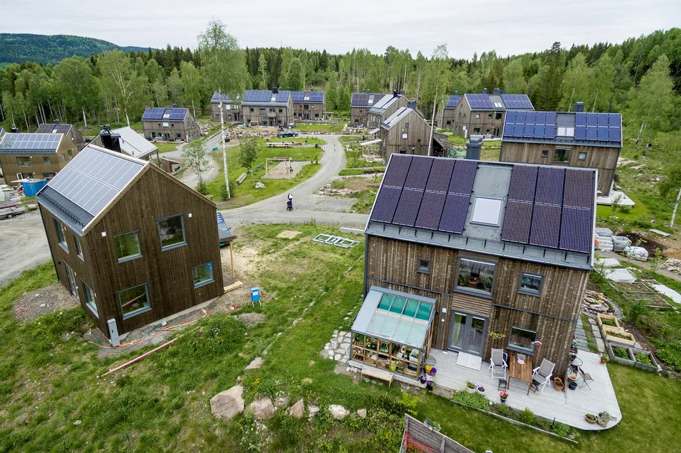 Beboerne i Økolandsbyen i Hurdal i Akerhus dyrker økologiske grønnsaker i hagen. Husene er nesten utelukkende bygget i trevirke og naturmaterialer og har solcellepaneler på taket for å være mest mulig selvforsynt med strøm.
