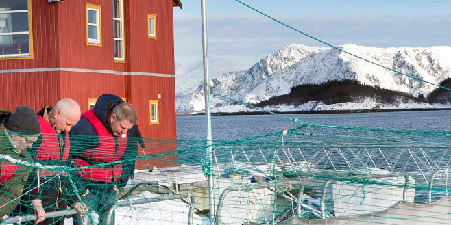 Særskatten gjelder matfiskoppdrett, midt i en verdikjede med kjøp av varer og tjenester fra opp- og nedstrømsaktiviteter, skriver Bård Misund og Atle G. Guttormsen.