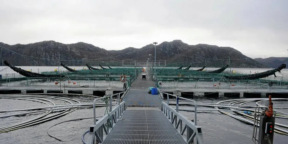 IKKE PENGER FRA NY LAKSEVEKST: En lakselokalitet til Marine Harvest i Flekkefjord. Det er ikke budsjettert med ny laksevekst i forslaget til statsbudsjett for 2019.Foto: Kjersti Kvile