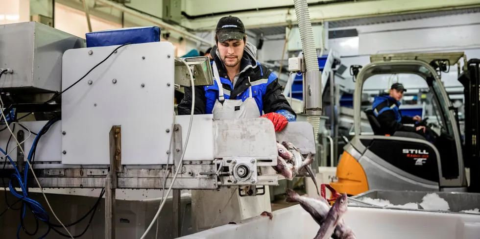 Både ferskfiskordningen og levendebonus er ordninger for industrien, men med flåten som mottaker og utøvende part.