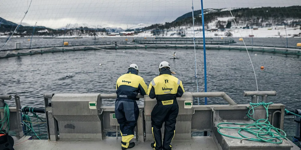 Blueye Robotics er en av dem som leverer utstyr til havbruksnæringa. Her foregår det testing av en undervannsdrone.