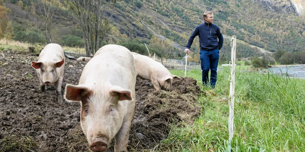 Nok en gang tapte sjømatinteressene kampen om markedsadgang, og med en ny rødgrønn regjering i anmarsj kan fiskerinæringen glemme lavere tollsatser for norsk fisk og sjømat. Her er gründer og gårdbruker Odd Ohnstad med grisene sine.