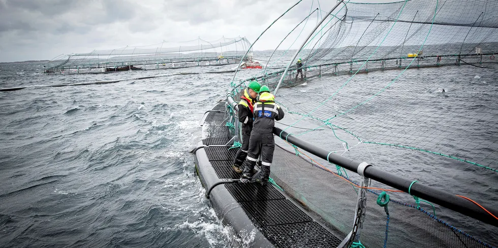 I forhold til andre land er langt fremme på elektrifisering, utslippsfri transport og innovativ energi og klimateknologi til havs.