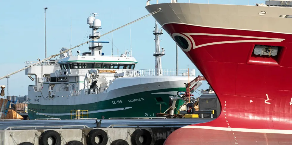 Den skotske pelagiske flåten, med flåten på Shetland, jubler over fordelene som følger med at det ikke ble en fiskeriavtale med Norge. Bildet er fra Shetland.