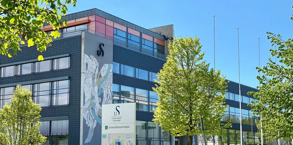 Fra høsten 2024 vil Universitet i Stavanger tilby spesialisering i elkraft fra høsten 2024. Det skapte stor interesse.
