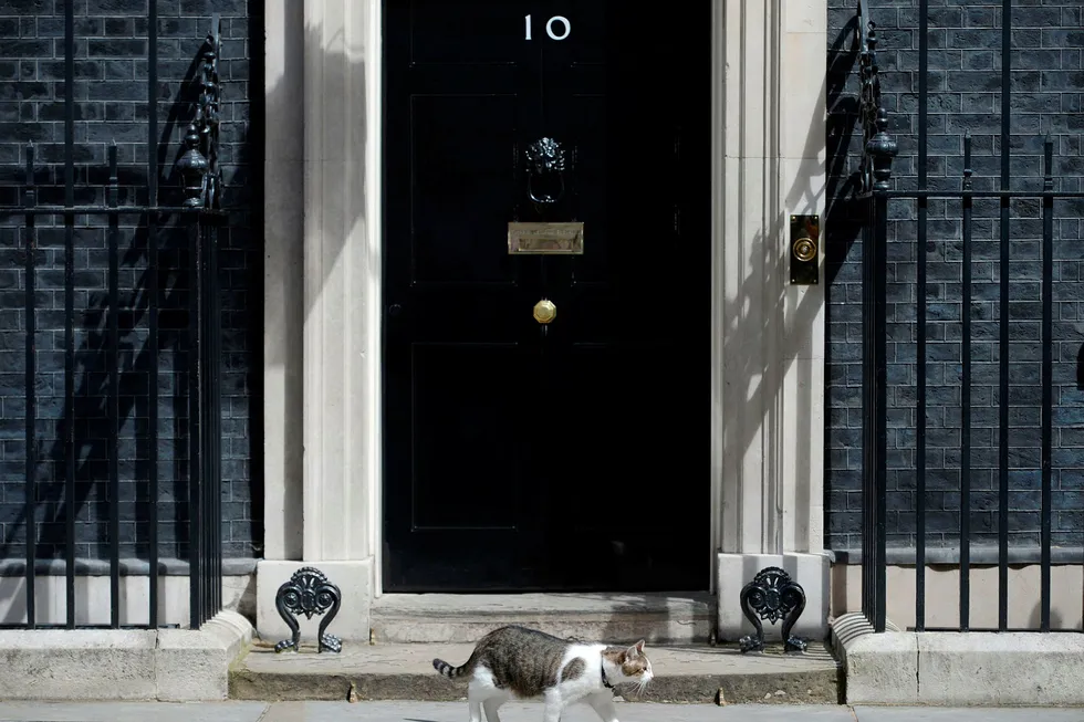 Larry, the Downing Street cat, spankulerer utenfor døren til Downing Street 10 i London. Samme hvilke britiske statsministere som går inn eller ut denne døren, om de vil inn eller ut av EU, blir han alltid værende for å bekjempe skadedyr i maktens korridorer.