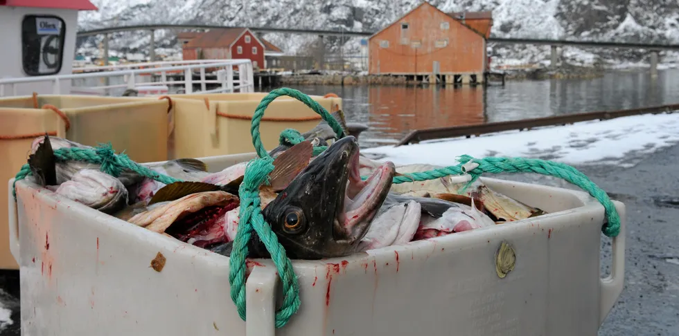 Når prisene på innmeldte fangster blir spesielt høye, prioriterer Norges Råfisklag kontroll ved levering på slike anlegg.