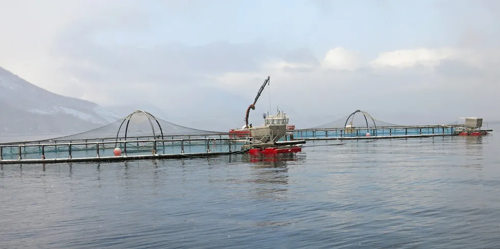 Kvarøy Fiskeoppdrett er ett av flere oppdrettsselskaper som holder til i Lurøy.