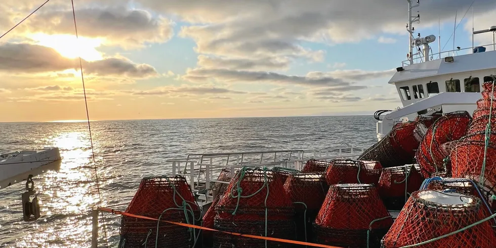 12 personer og én forsker har vært i Barentshavet med «Vima» og satt ut krabbene og tatt hjem teinene som har stått og fisket i to måneder etter sesongslutt i årets snøkrabbefiske.