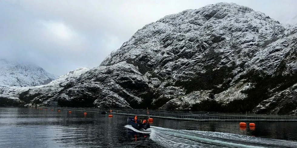 Nova Australs lokaliteter i Porvenir i Tierra del Fuego.