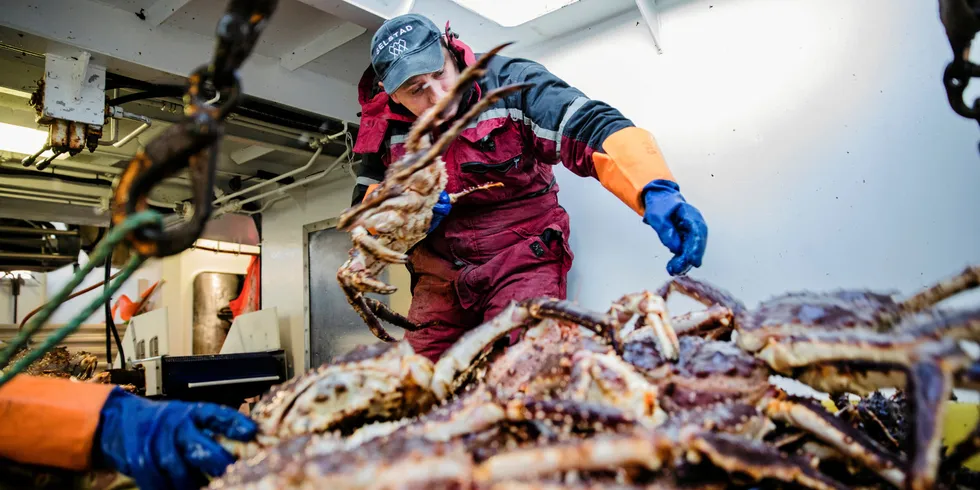 Hadde det ikke vært for at fiskere fra Loppa, Hasvik, Alta og Hammer i år kan delta i det kvoteregulerte kongekrabbefiske i øst, ville det vært en nedgang i deltakerbåter.