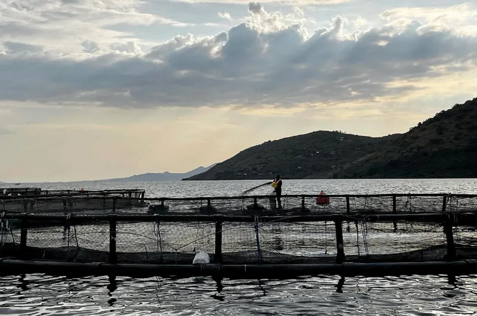 'We have a realistic possibility of being the largest globally' | Intrafish