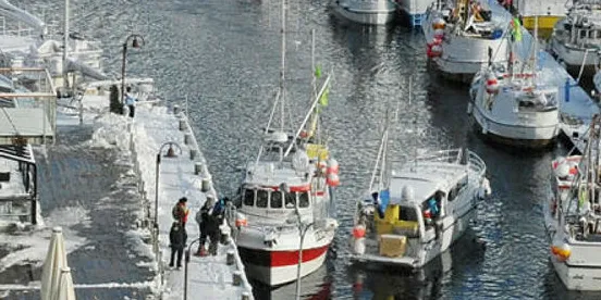 Havna i Svolvær i Vågan kommune.