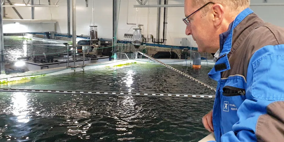 Andreas Kvame er konsernsjef i Grieg Seafood. Her er han hos Tytlandsvik Aqua som produserer laksen opp mot 700 gram i tanker på land før den settes i sjøen.