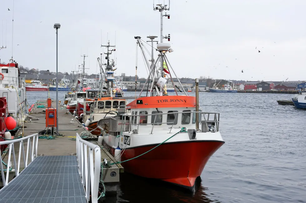 Fartøy under 11 meter kan få dispensasjon fra kravet om umiddelbar veiing av fangst ved landing, forutsatt at kriteriene for dette er oppfylt. Illustrasjonsfoto av båter under 11 meter fra Myre havn.