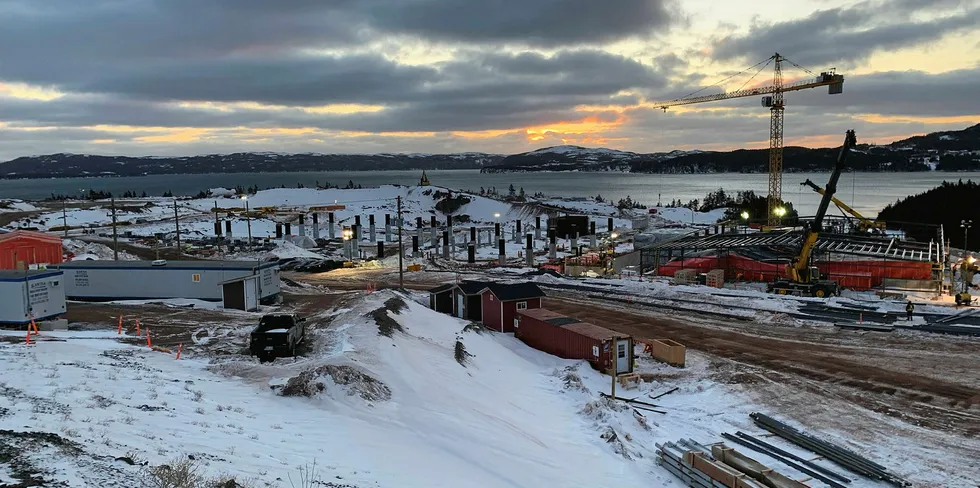 Grieg Newfoundland's smolt facility is currently under construction.