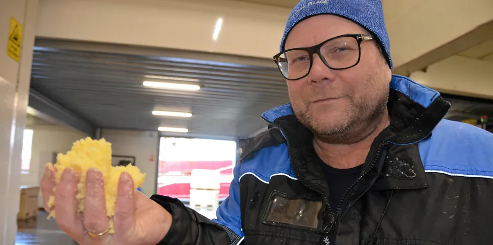 Roar Aasen i Fosnavaag Pelagic har hendene fulle med lodderognproduksjon for tiden, den gule delikatessen fra Barentshavet som når store verdifulle høyder, spesielt i markedet.