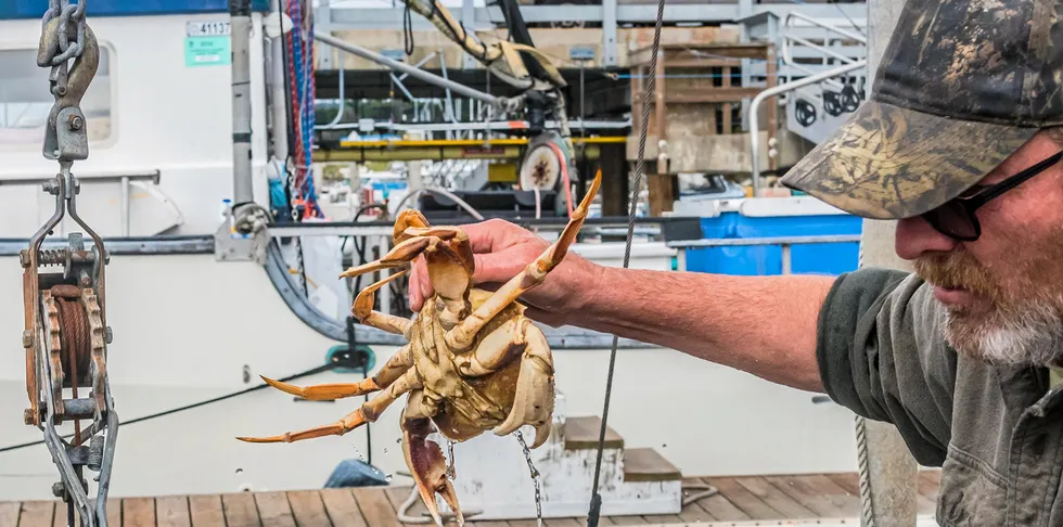 Will Dungeness crabbers benefit from the current upheaval in the global crab market?