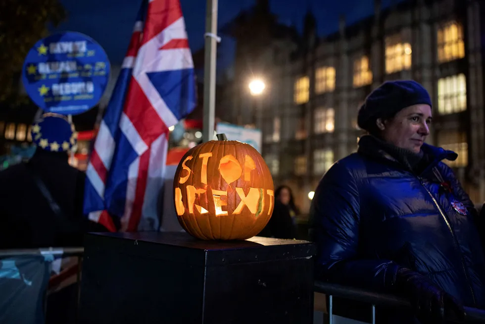 Brexit-aktivister foran Det britiske parlamentet.