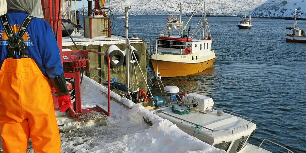 STRAFF?: Her er juksaflåten på vei til kai for levering ved Tobø Fisk i Havøysund. Bedriften har vært en av pionerene når det gjelder moderne mottakssystemer, men pålegget til sjarkfiskerne om å bruke Kystfiskeappen skaper utfordringer for både sjø- og landsida.