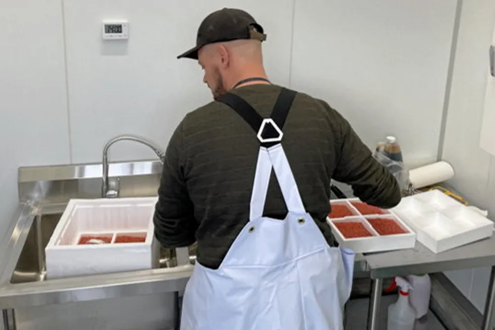 Salmon eggs are unloaded at Proximar's hatchery in Japan.