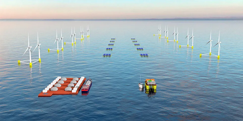 CGI of Hexicon floating wind units arrayed in support of an offshore green hydrogen project