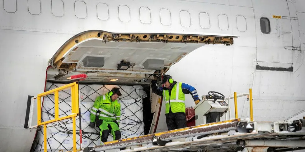 TRANSPORT: Stadig flere paller med norsk laks blir dyttet inn i jumbojeter til Kina med en mellomlanding i Kasakhstan for etterfylling av drivstoff. Turen til Kasakhstan tar rundt 4,5 timer, mens neste legg tar 5 timer.Foto: Gunnar Lier