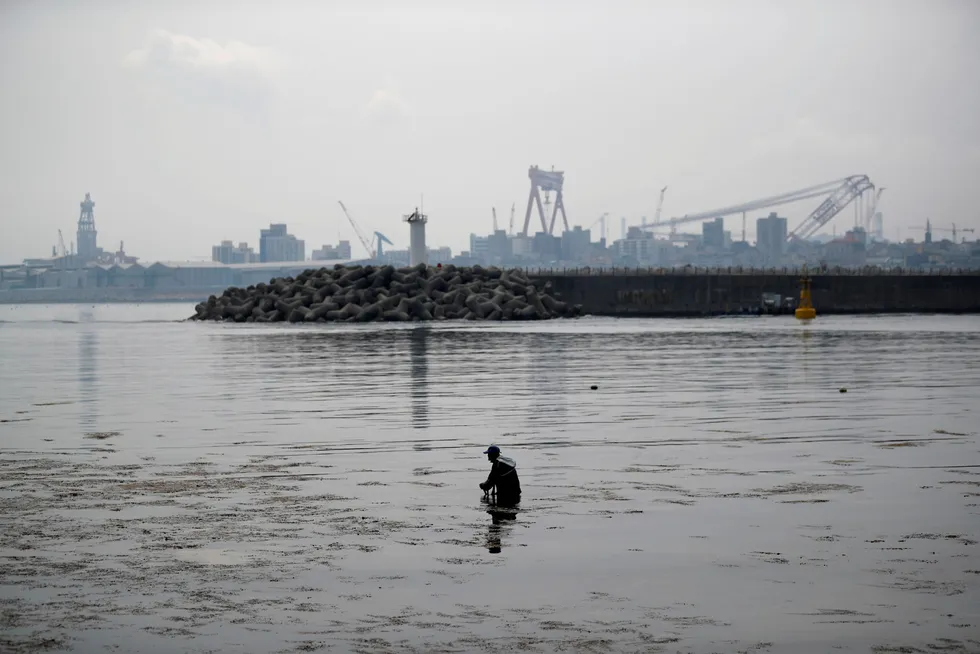 Water works: a man close to Ulsan, the nearest major city to the development site in South Korea.