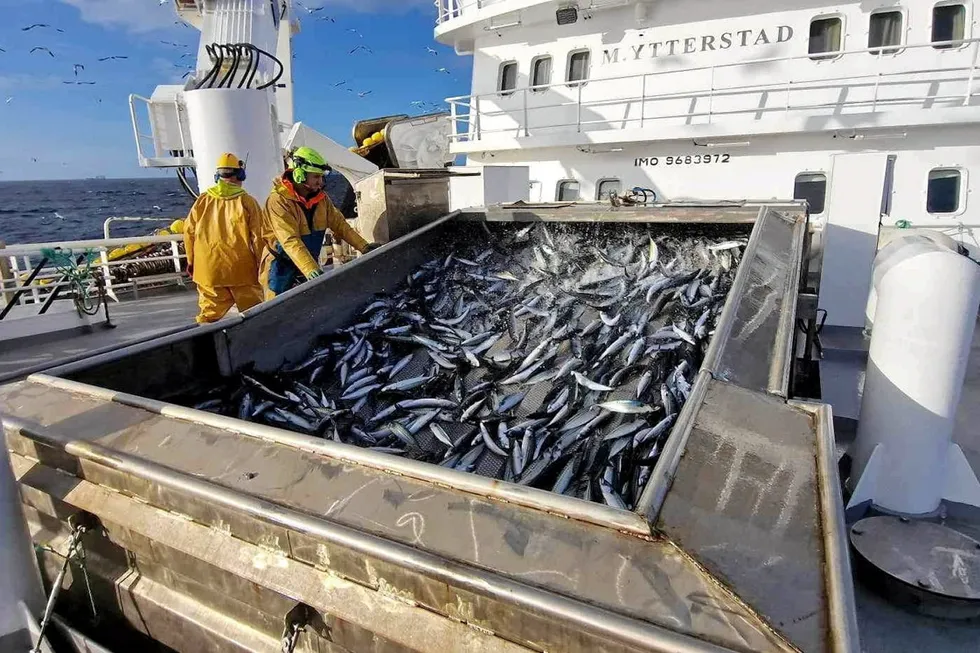 «M. Ytterstad» tok nylig den største enkeltfangsten med makrell i Ytterstad Fiskeriselskap sin historie. De ti største fangstnasjonene (Norge var nr 9 i 2022) står for mer enn 60 prosent av de totale fiskerifangstene i verden.