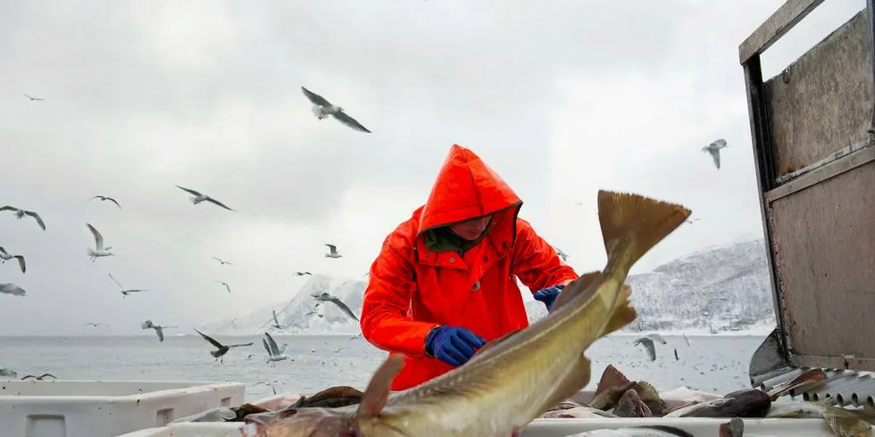 Nordlys Forsikring Gjensidig mener Gjensidige leverer gode forsikringer til fiskerne. Illustrasjonsfoto: Ingun A. Mæhlum, DN