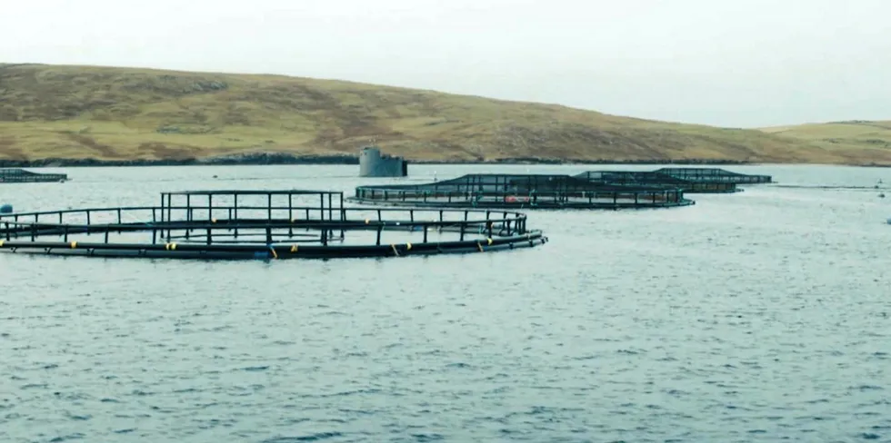 Illustrasjonsfoto fra en av Cooke Aquacultures lokaliteter i Skottland.