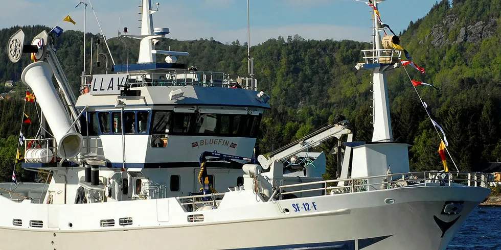 NOTSEI: «Bluefin» fra Florø er foreløpig i føringen med levering av notsei med en samlet fangst på 330 tonn til nå. Torsdag leverte båten 120 tonn i Kalvåg.