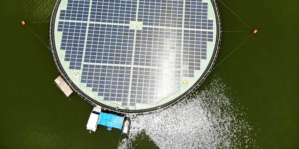 Ocean Suns teknologi for flytende solenergi.