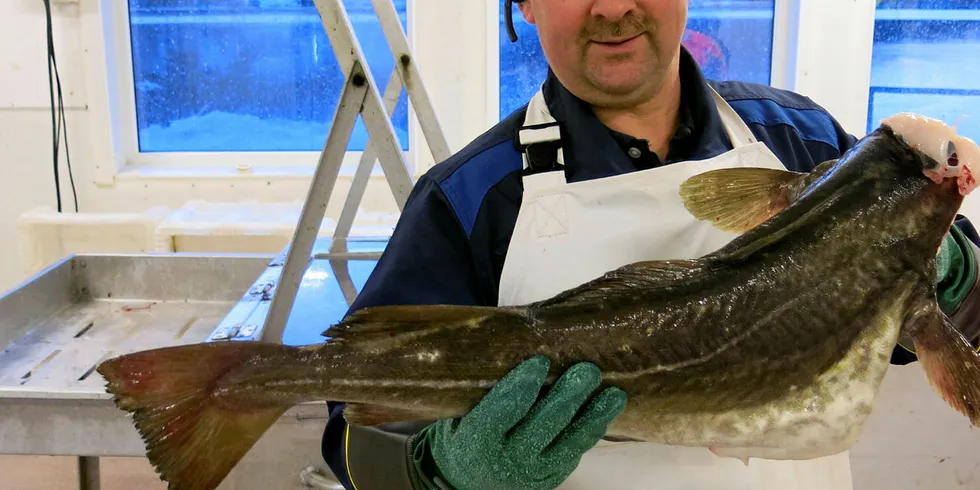 Daglig leder og eier av Karls Fisk og Sjømat, Karl Albert Hansen, tok konsekvensene da fiskeutsalget ikke kunne konkurrere.