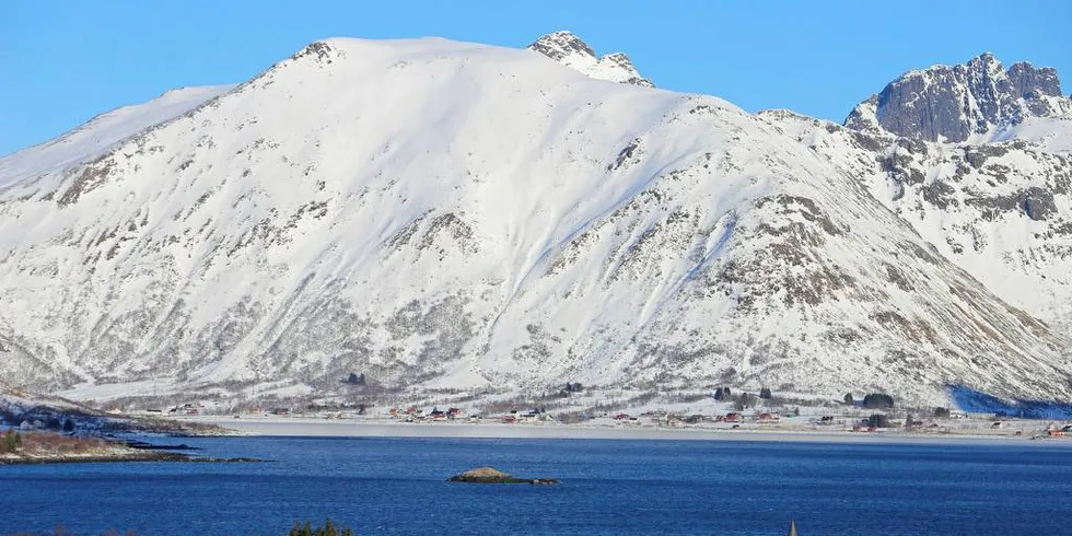 ISLAGT: Isen er tykk innerst i Austnesfjorden. Fjorden har vært islagt også lenger ut tidligere i vinter. – Vi har måttet brøyte oss løyper for å sette og dra garn, sier fisker Kurt André Krane.Foto: Silje Helene Nilsen