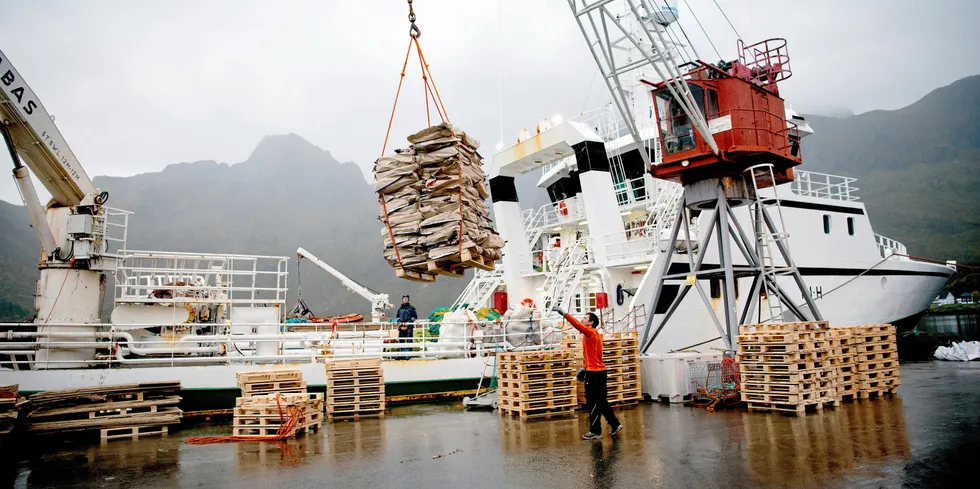 For fryst fisk er auksjon en velegnet omsetningsform, men det har de siste årene blitt hevdet at for mye råstoff ikke har blitt gjort tilgjengelig på den åpne markedsplassen, skriver de tre direktørene i Norges Råfisklag, Surofi og Vest-Norges Fiskesalgslag