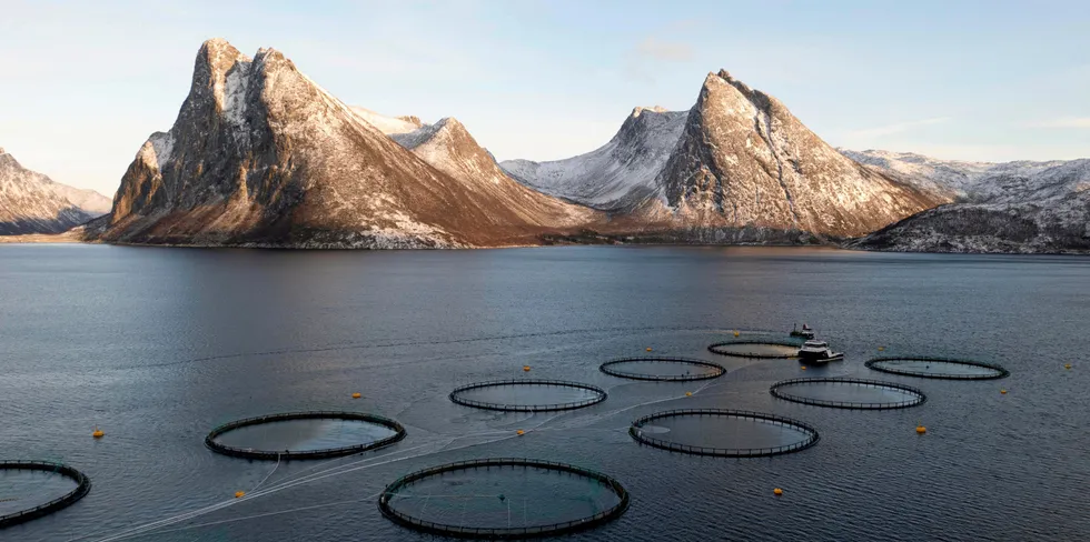 Flakstadvåg Laks sin lokalitet Skarvberget ligger i Bunkefjorden sørvest i Senja kommune.