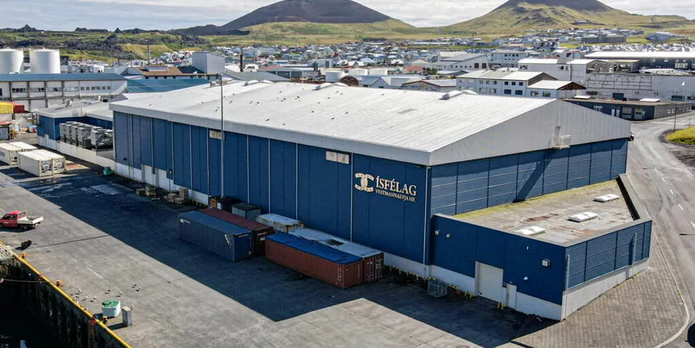 Founded in 1901, Isfelag Vestmannaeyja is one of Iceland’s oldest seafood companies, and views the emerging salmon farming sector as a natural fit as it diversifies its business.