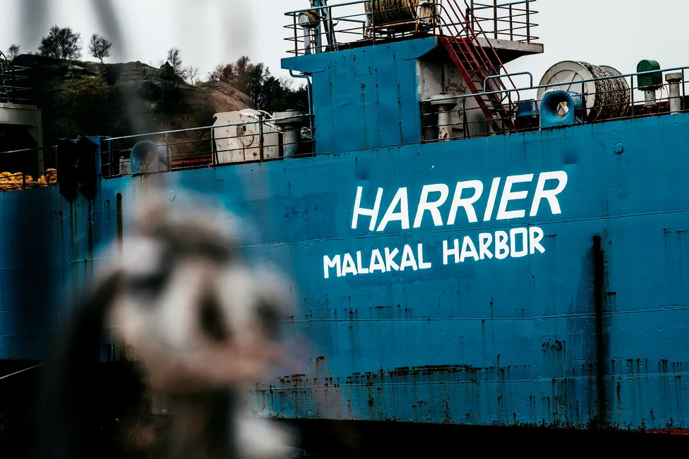 Skipet «Harrier» fra da det lå i Spindsfjorden utenfor Farsund. Skipet skulle gi penger i havnekassen, men har mest skapt frustrasjon i administrasjonen og blant politikere og hyttefolk.