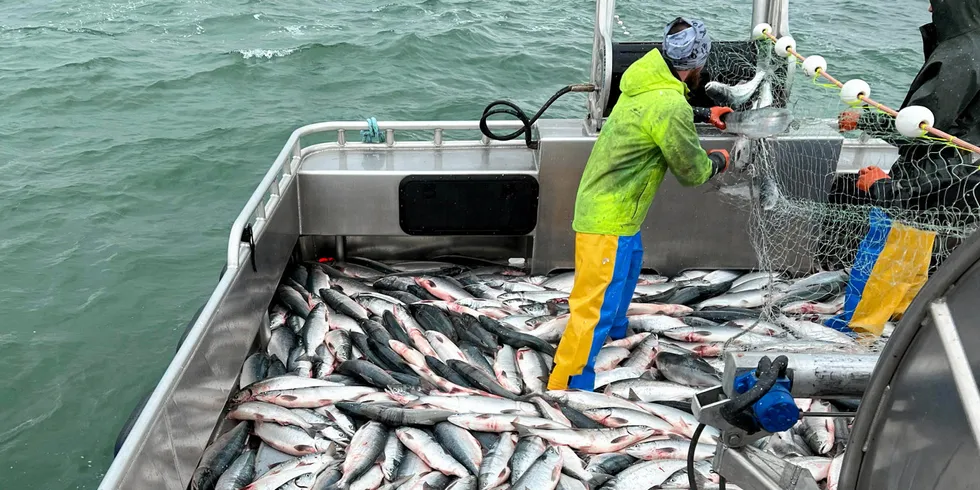 After a disappointing 2023 season, Bristol Bay fishermen are hoping for a rebound.