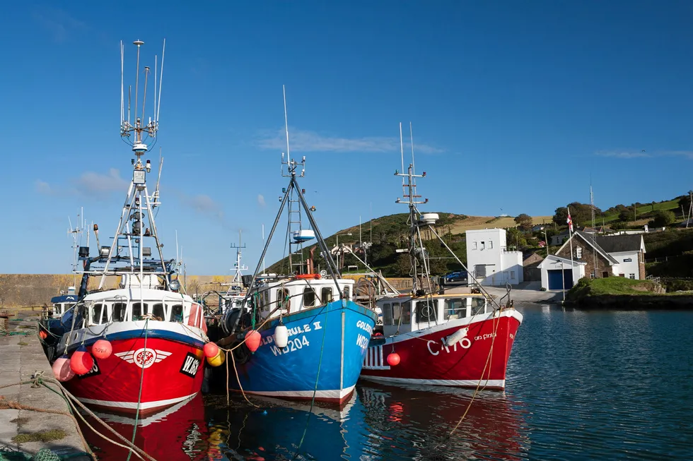 Fishing vessels on the Irish coast.