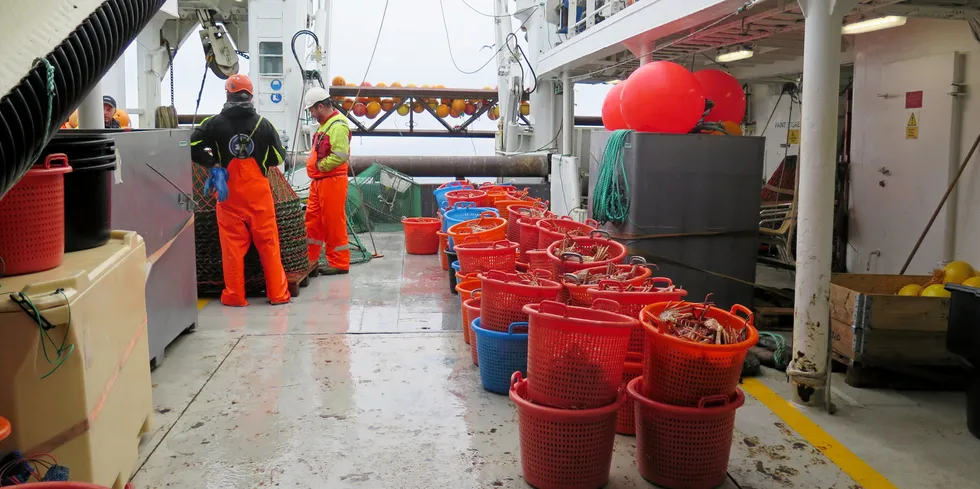 Reguleringene av snøkrabbefisket står til stryk. Myndighetene er så sent ute, at de ikke har noe annet valg enn å la det bli åpent kappfiske også i 2024.