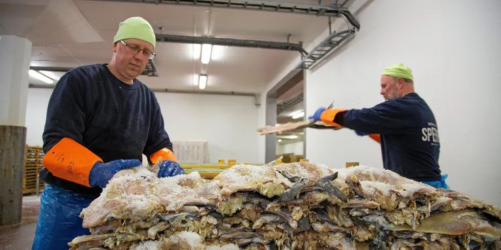Produksjon av klippfisk hos Brødrene Sperre i Ålesund. Bedriften har 90 års erfaring.