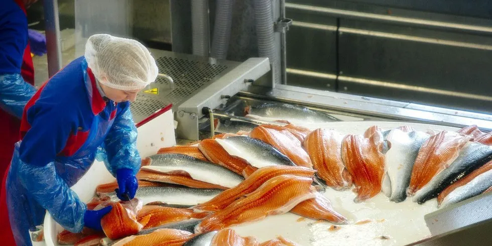 Selv om det russiske markedet er blitt stengt, er det høy etterspørsel etter norsk laks. Illustrasjonsfoto: Kristian Helgesen, DN