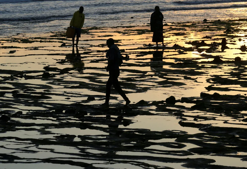 Pemba: the sun rises as fishermen seek clams and bait in Pemba, Mozambique