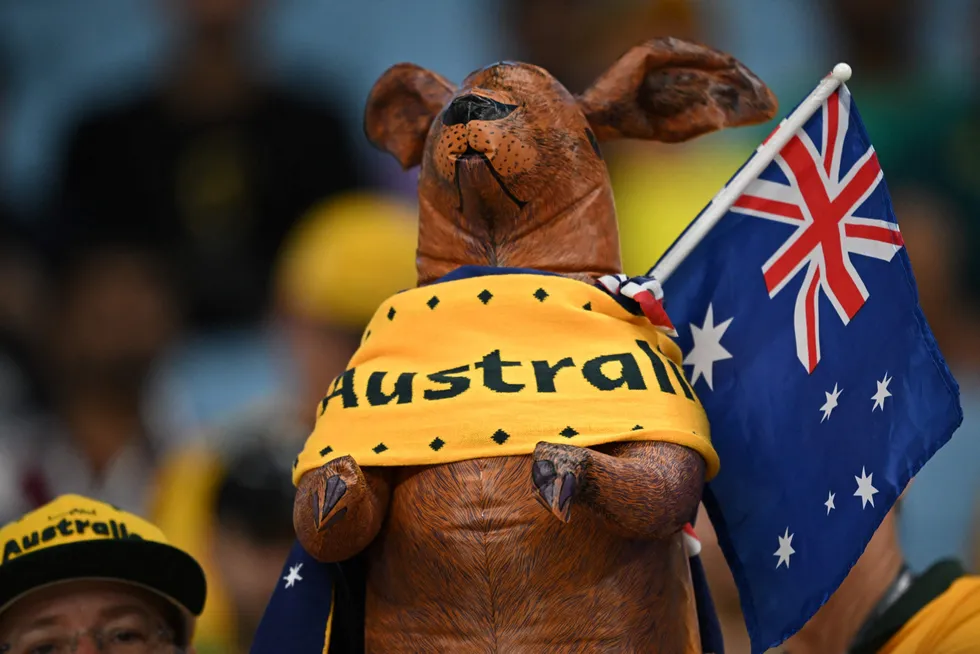 Fans: Australia supporters hold up an inflatable kangaroo as they wait for the start of the Qatar 2022 World Cup group match between Australia and Denmark.