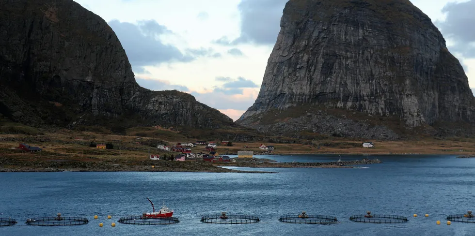 Vega Sjøfarm eies dels av Nova Sea.