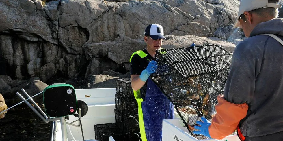 PÅ «MERSEY»: Skipper Vegard Aanensen (t.v.) har fått med seg mannskap for første gang. Frode Johansen er i gang med å sortere dagens fangst.Foto: Kjersti Kvile