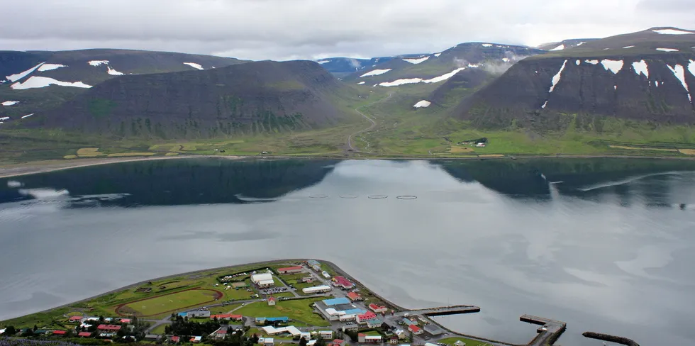 Norway Royal Salmon sitt datterselskap Arctic Fish på Island er rammet av alvorlig fiskedød.