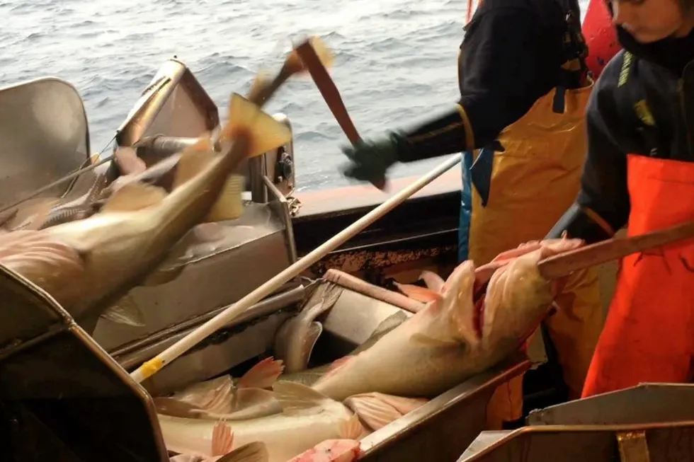 In October 2019, the LFA earned MSC certification for the West Bering Sea cod and halibut longline fisheries.